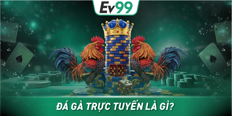 Đá gà trực tuyến là gì?